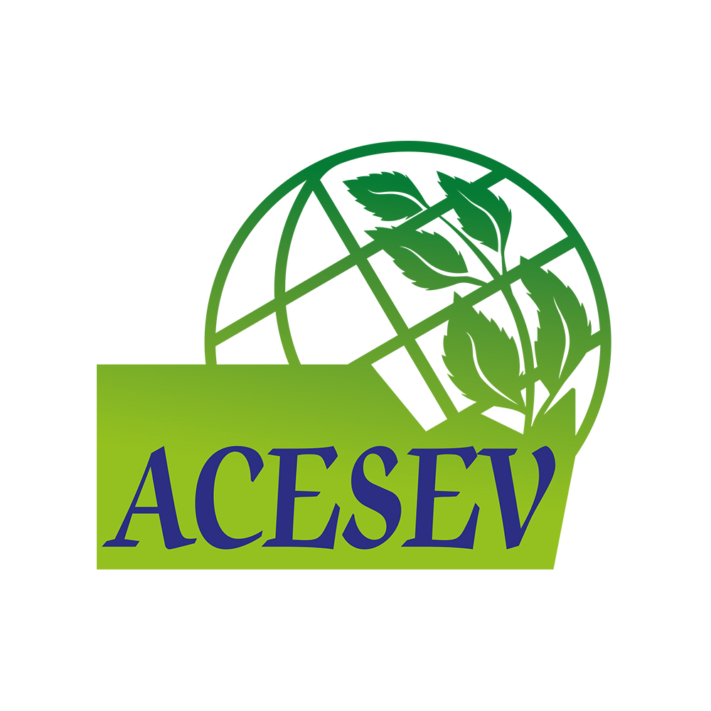 Ace Sevinç Group İş Makinaları İthalat ve İhracat Anonim Şirketi