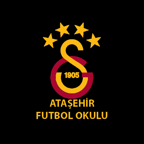 Ataşehir Galatasaray Futbol Okulu