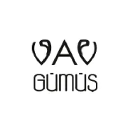 Vav Gümüş logo