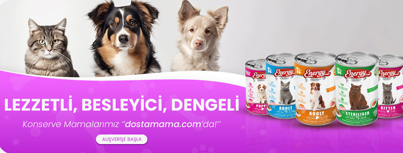Hazel Gıda Sanayi ve Dış Ticaret Limited Şirketi cover