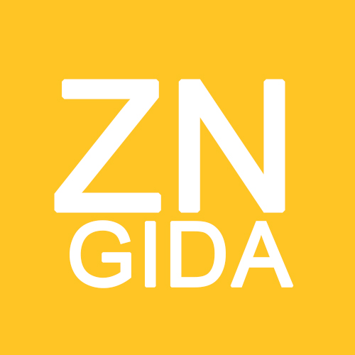 Zn Gıda logo